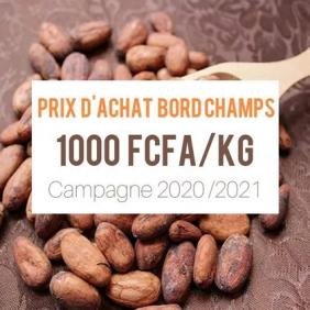 CACAO PRIX BORD CHAMPS 1000FCFA /KG CAMPAGNE 2020/2021